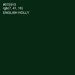 #072913 - English Holly Color Image